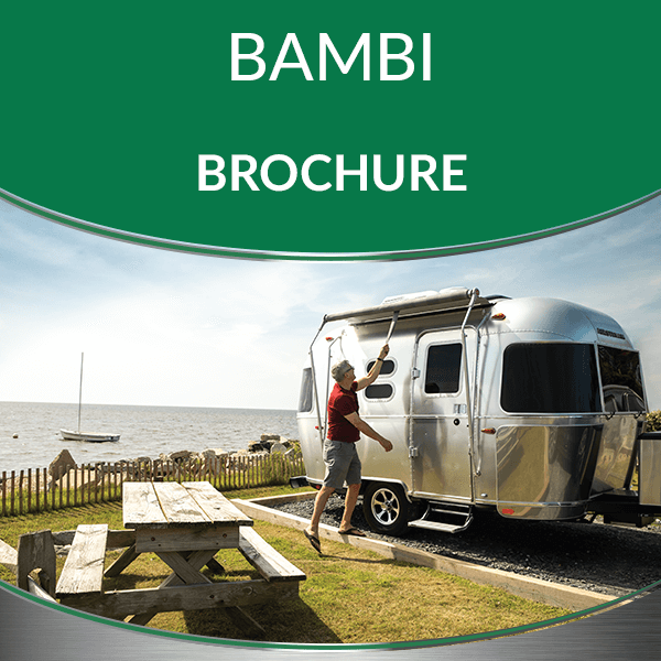 Bambi Brochures